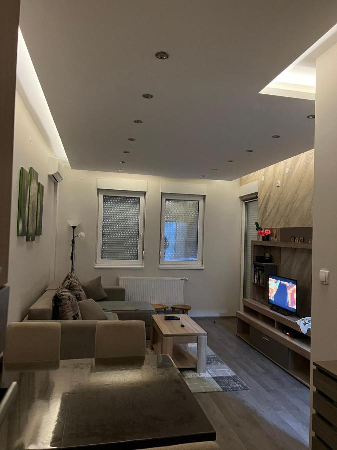 Banja Koviljača Apartment Dana מראה חיצוני תמונה