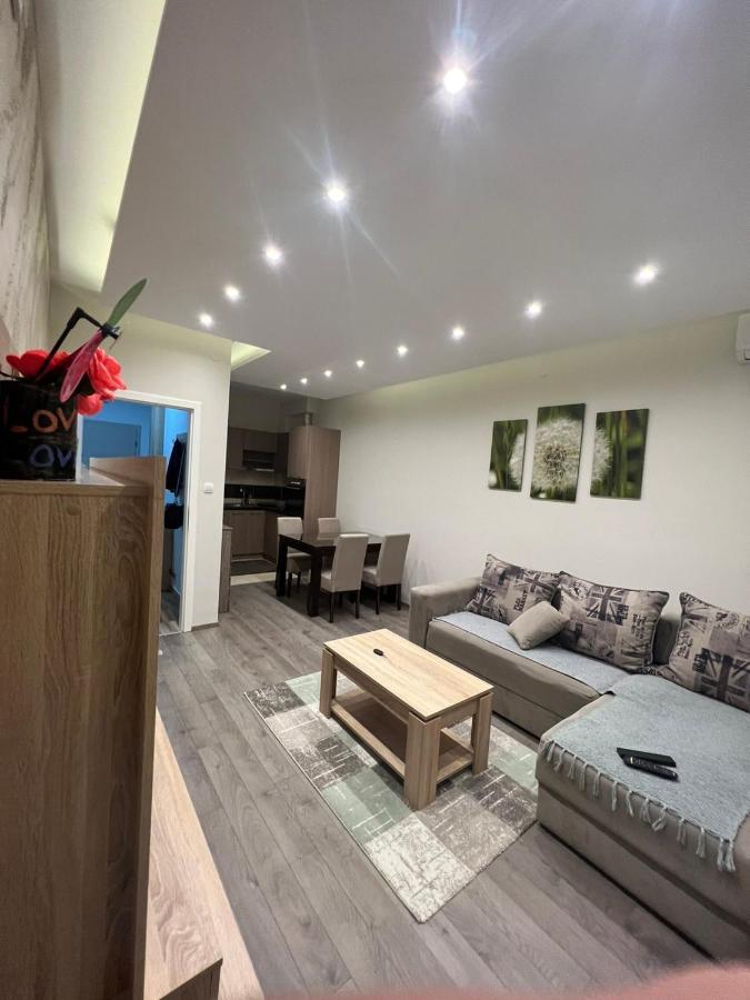 Banja Koviljača Apartment Dana מראה חיצוני תמונה